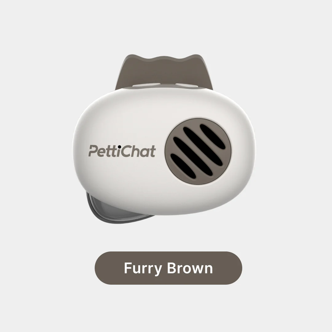 PettiChat collar clip detail