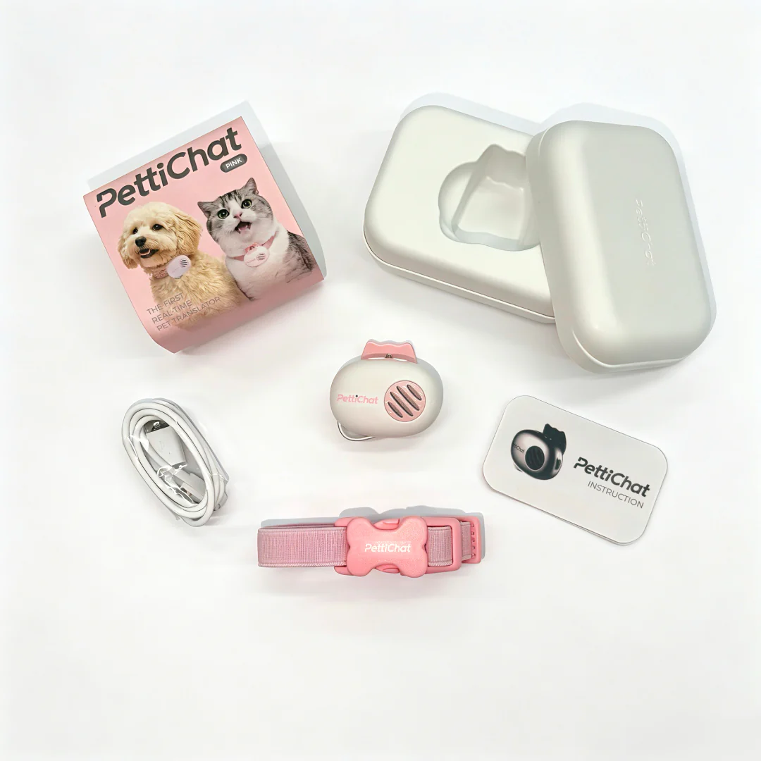 PettiChat app translation interface