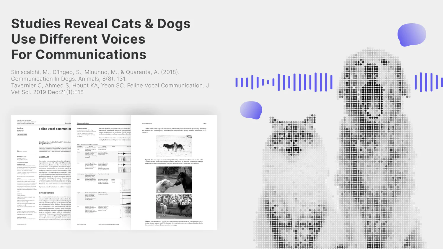 PettiChat AI sound analysis methodology