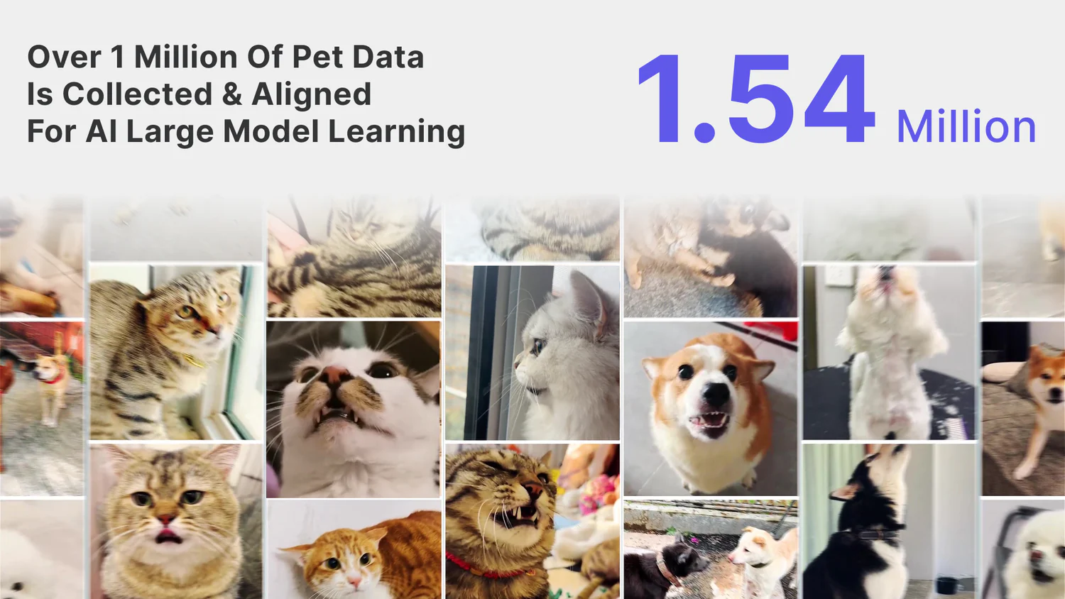 PettiChat emotion classification model